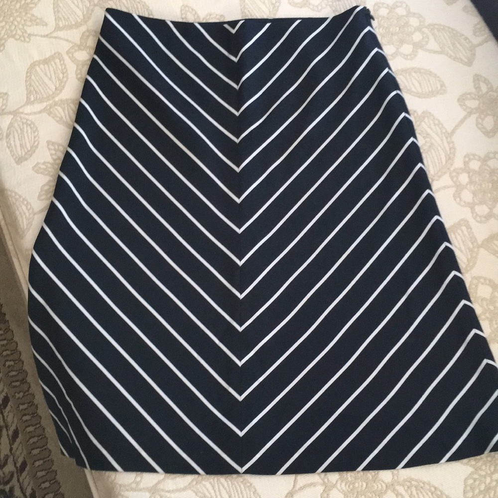 ZARA skirt